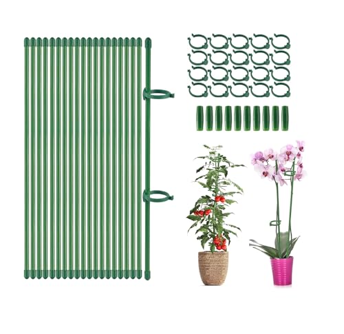 Voarge Tutor Planta Tallo, 20 Piezas Tutor Planta Interior, 20 Tallos de Planta Clips, 10 Tallos Tubo de Extensión, Fijación de Crecimiento de Plantas, Protegen las Plantas de Inclinación