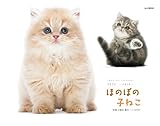 カレンダー2026 ほのぼの子ねこ(月めくり/壁掛け/猫 こねこ) (ヤマケイカレンダー2026)