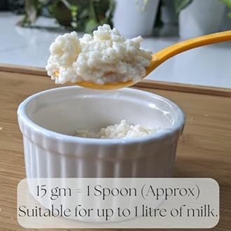 Raintree Organics Milk Kefir Grains - Lifetime reusable and Multiplying Milk Kefir Grains