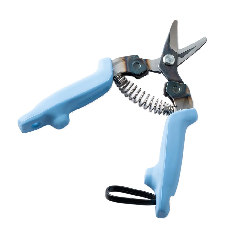 Dr.cut Light Blue Dr. Cut Shears Gardening Secateurs With Single Hand Light Weight & Ergonomic Silicone Grips Japanese Saika Sorairo Sky Blue Colour