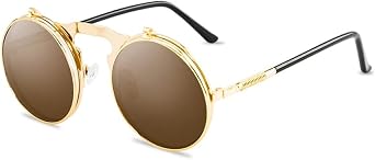 MUTYNE Vintage Steampunk Flip Sunglasses Retro Round Metal Frame Sun Glasses for Men Women Circle Glasses