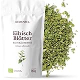 REPLANTEA Cuidamos tu Naturaleza