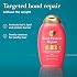 OGX Repair & Protect Bond Protein Repair Shampoo, Lightweight Hair Wash Cleanses & Targets Damaged Hair for Effective Bond Repair, Formulated without Parabens, 13 fl. oz