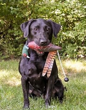 HuntEmUp Dog Training Scents Field-Train Tracking & Retrieving for Upland Hunts