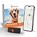 Bild zu Weenect XS für Hunde - Mini GPS-Tracker für Hunde | GPS-Tracking in Echtzeit | Kleinstes Modell auf dem Markt | Abonnement | Wasserdicht