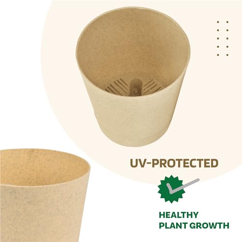 Image of Kuber Industries Pack of 12 Flower Pot | Flower Pot for Living Room-Office | Flower Planters for Home-Office-Lawns & Garden Decor | Self Watering Flower Pots | Marble Titan | 4 Inch | Beige