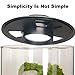 Desktop Glass Plant Terrarium with Grow Light (H:9.8