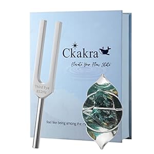 Ckakra Sound TherapyTuning Fork with Healing Crystals Kit, Meditation & Relaxation gift for women, Calming Tools,852Hz Solfeggio Frequency Third Eye Chakra,Silver