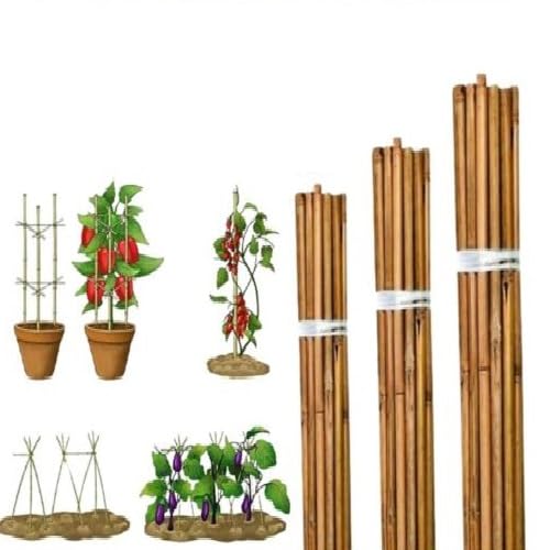 KAYNUR 5FT 6FT 7FT Bamboo Cane Plant Support - Sturdy and Versatile Gardening Tool for Plant Growth (6ftx20)