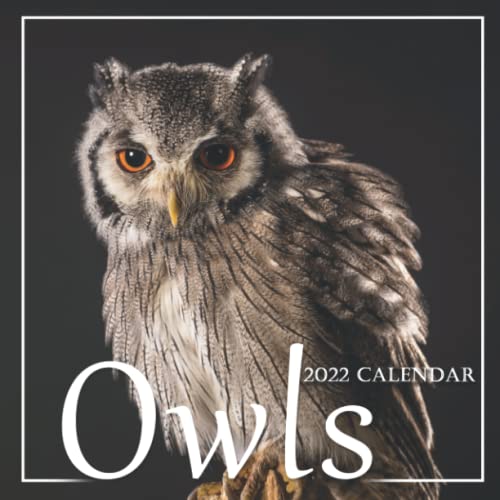 Owls 2022 Calendar: Wildlife Animals Birds Squared Monthly Calendar Mini Planner 12 Months 2022 bonus September to December 2021 , Special Girt for Nature Lovers