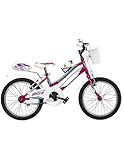 Caratteristiche Tecniche: Modello Lincy LY16 MTB con sistema di cambio a singola velocità