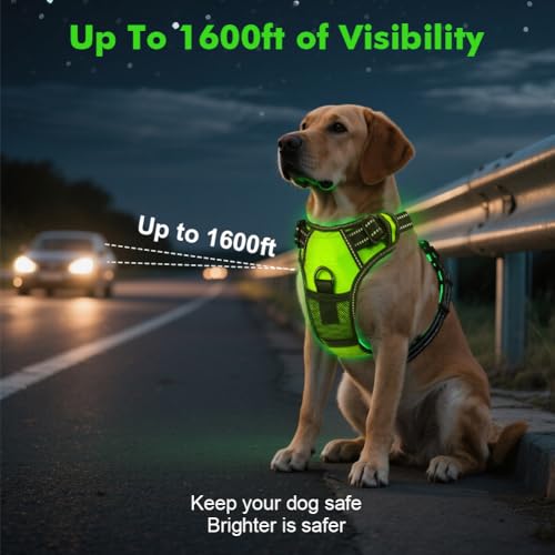 AUAUY Hundegeschirr Leuchtend, Einstellbar Leuchtgeschirr LED Aufladbar Reflektierendes, 3 Modi Atmungsaktiv Leucht Geschirr, Beleuchtetes Led Geschirr für Klein Mittlere Große Hund, Grün-M