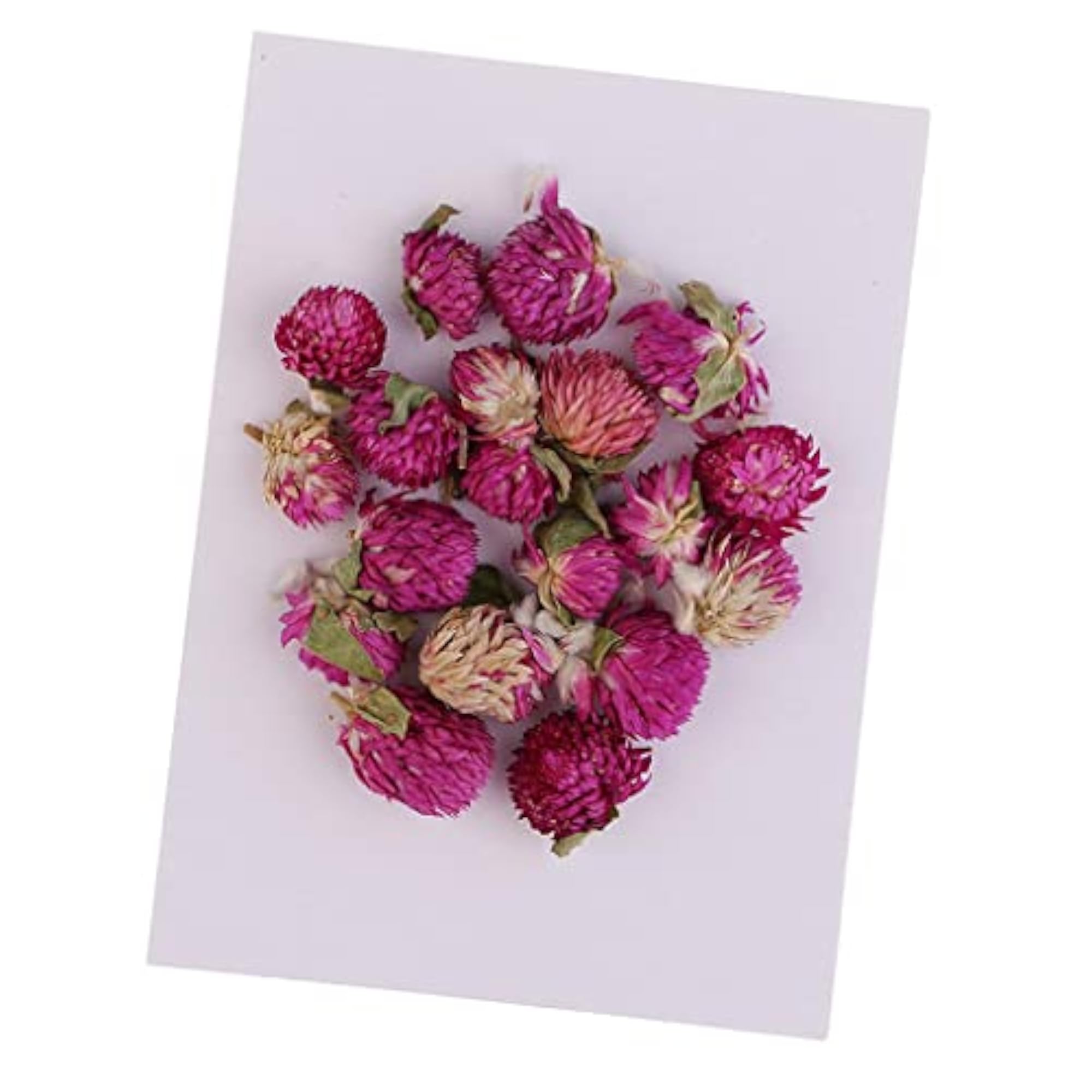 20 Pieces Dried Pressed Flowers for Miniature Craft, BNF®