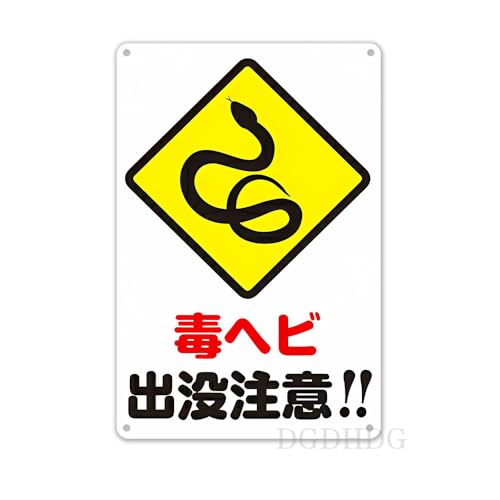 Ńwr ovӁII(F̏c^)1 v[gŔ Op ӊŔ SW  tȒP