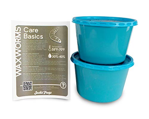 Josh's Frogs Waxworms (500 Count)