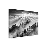 Wrapped Canvas Wall Art - Monte Nagler 'Smoky Mountain Sunrise Tennessee Black and White' Wall Art for Living Room, Bedroom, or Office Décor - 35x47