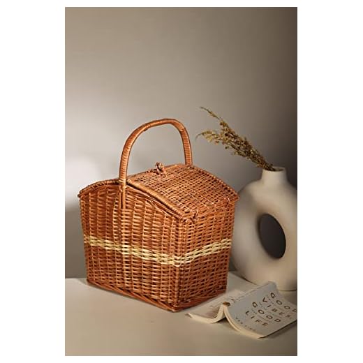 Habere India-All the Cultures Fabricating India Wicker Basket for Lunch | Wicker Picnic Basket With Top Handle | Wicker Morden Picnic Basket, Brown Rectangular Basket (M) - 12 * 13 * 9 Inches)