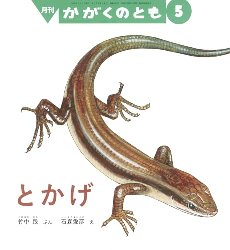 とかげ (かがくのとも2026年5月号)