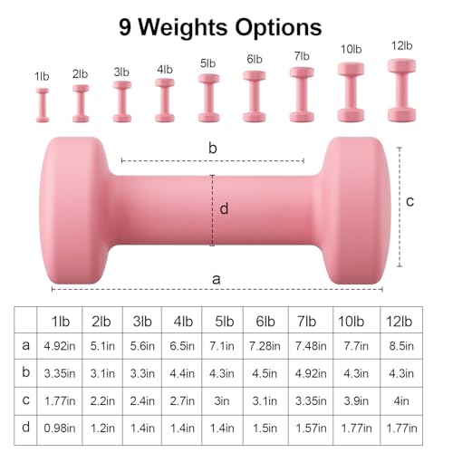 10 lb Dumbbells Set of 2 - Cast Iron 10 LB Weights Set of 2, Hand Weights Set Exercise & Fitness Dumbbell Free Weights for Child, Women, Men - Thumbnail 2