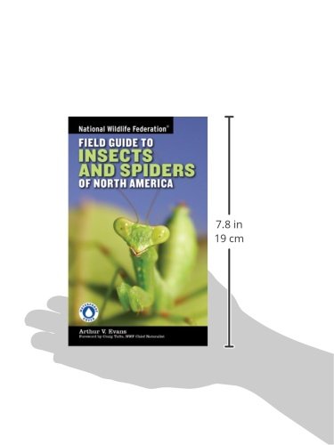 National Wildlife Federation Field Guide To Insects And Spiders & Related Species Of North America #TOP1