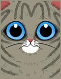 Blue tabby cat
