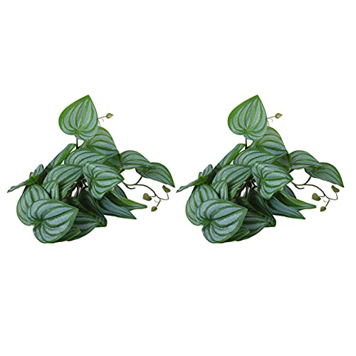 ACOGEDO Plantas de Reptiles, 2 Piezas Simulación de Planta de Agua Artificial Vine Hojas de Plástico Decoración con Copa de Succión Terrario Accesorios de Reptiles para Lagartos Geckos Snake Pet