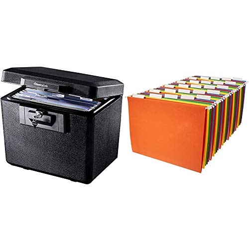 SentrySafe 1170 Fireproof Box with Key Lock 0.61 Cubic Feet,Black & AmazonBasics Hanging Organizer File Folders - Letter Size, Assorted Colors, 25-Pack