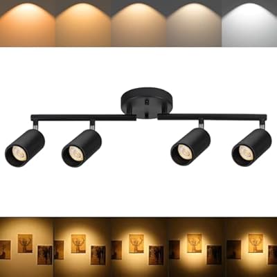 Ajbvp 5CCT LED Track Lighting Kit 4 Lights Dimmable 48W Track Light,Zoomable15°/24°/36°/45°/60°-2700K/3000K/3500K4000K/5000K,Track Lighting for Accent Task Kitchen,Lumen 4800 (Black)