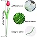 Bodosac 24pcs Multicolor Artificial Tulip Latex Real Touch for DIY Bouquets Wedding Party Bridal Baby Shower Home Decor (Multicolor Tulip)