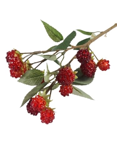 GL]`bNȃhCt[u[P5 PCSlHԂYx[Az[K[fLb`e[ũt[AWgp̐lHYx[Xe