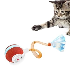 Petiepaw Balle de Jouets interactifs pour Chats d&rsquo;intérieur, La troisième génération de Balle pour Chat Agile et Mobile avec Une Queue en Maille élastique, Jouets automatiques pour Chats/Chatons