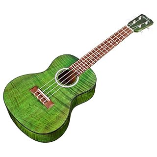Cordoba 15CFM Jade Green – ukulele concert - Les Beatles, Paul McCartney, John Lennon, RIngo Starr, George Harrison Cordoba 15CFM Jade Green - ukulele concert – Image 4