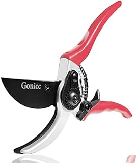 gonicc 8