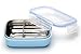 Steeltainer Leak-proof Stainless Steel Compact Size Container (Blue)