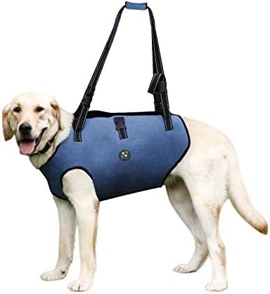 Coodeo Dog Lift Harness, Pet Support & Rehabilitation Sling Lift Adjustable Padded Breathable Straps for Old, Disabled, Joint Injuries, Arthritis, Loss of Stability Dogs Walk (Blue, L)