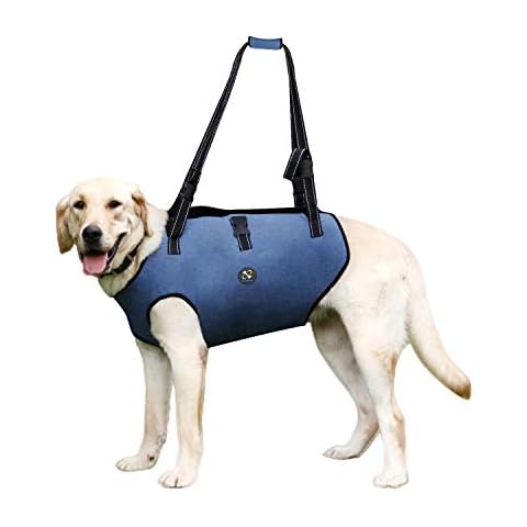 Coodeo Dog Lift Harness, Pet Support & Rehabilitation Sling Lift Adjustable Padded Breathable Straps for Old, Disabled, Joint Injuries, Arthritis, Loss of Stability Dogs Walk (Blue, XL) Cover