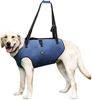 Coodeo Dog Lift Harness, Pet Support & Rehabilitation Sling Lift Adjustable Padded Breathable Straps for Old, Disabled, Joint Injuries, Arthritis, Loss of Stability Dogs Walk (Blue, L)