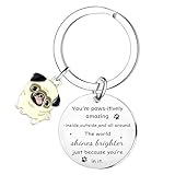 No es solo un llavero de carlino, viene con palabras alentadoras que siempre te acompañarán y te animarán. Es muy adecuado para regalo emocional, regalos inspiradores, regalos de animación, regalos de apoyo para amigos y familiares.