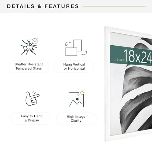 MCS Studio Gallery 18x24 Poster Frame White Woodgrain, Vertical & Horizontal Wall Hanging Large Picture Frame for Photos, Posters & Art Prints (2-Pack)