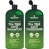 Tea Tree Mint Shampoo and Conditioner – Pure Tea Tree Oil & Peppermint Oil – Fights Hair Loss, Promotes Hair Growth, Fights Dandruff, Lice & Itchy Scalp – for Men and Women Sulfate Free – 16 fl oz x 2