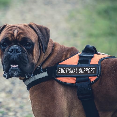 ULTECHNOVO Reflective Pet Chest Strap Patches 2 works Self-Adhesive Removable Dog Harness Stickers for Night Safety and Vest - Image 3