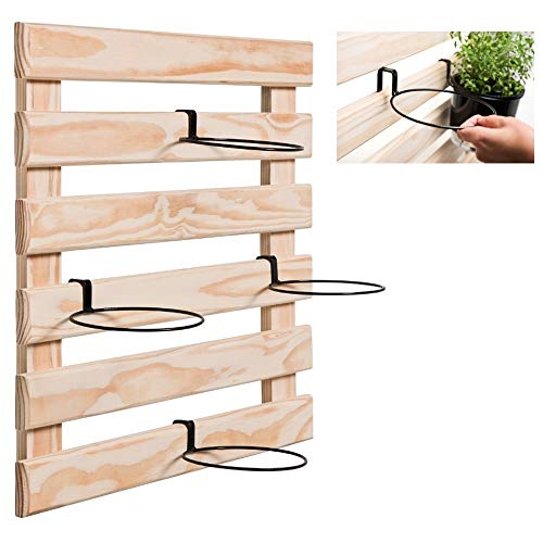 Suporte Anel Raiz N2 12cm Treliça para Vaso Auto Irrigável