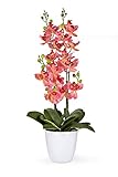 Serene Spaces Living Pink Orchid in White Ceramic Pot, Perfect for Weddings and Home Décor, Real Looking Plant for Decoration, Sold Individually, Measures 26' Tall X 6' Diameter