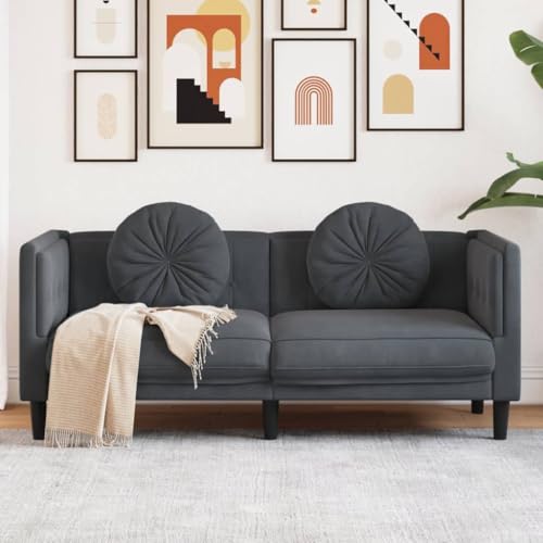Willood Sofa mit Kissen 2-Sitzer Dunkelgrau Samt, Polstersofa Loungesofa Couch für Wohnzimmer, Designsofa Wohnzimmersofa Sitzmöbel, Modern
