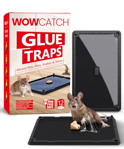 WowCatch Sticky Mouse Traps