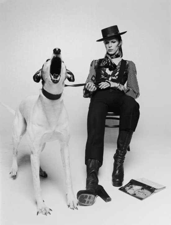David Bowie Diamond Dogs - Portada de álbum con diseño de diamantes  Varios tamaños  Foto de música vintage, foto retro en blanco y negro, arte de