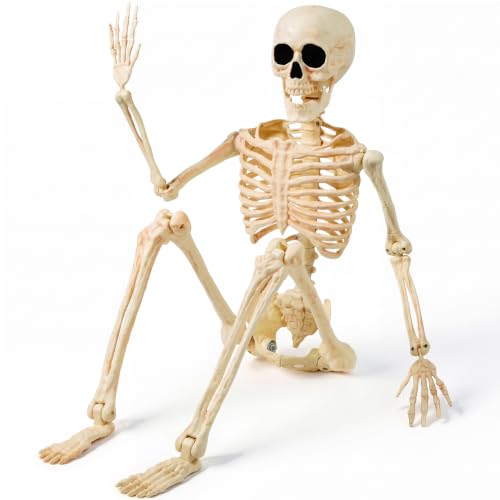 15 Best Giant Skeletons for Your Yard Display That Will Wow Your Neighbors 5 JOYIN 36" Halloween Skeleton Decor, 3FT Full Body Realistic Bones with Stayable Movable Joints, Posable Hanging Skeletons for Halloween Decoration, Yard, Graveyard, Haunted House, Spooky Scene Party