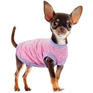 Chic Ion Polyester Dog Vest: Adorable Fashion Dog Apparel for Small, Medium, and Large Breeds, Moisture-Wicking, Soft, Anti-Static, Durable, and Easy-to-Clean Design Dog Shirt Pink M