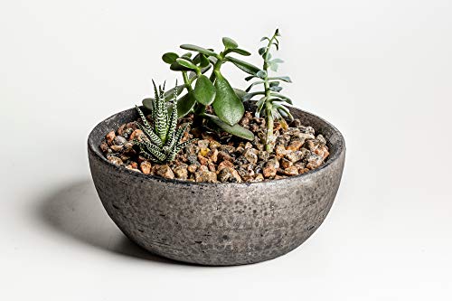 Gravilho de ervilha de granito de 1,9 cm, bolsa de 1,9 kg – Gravilho de granito natural decorativo p