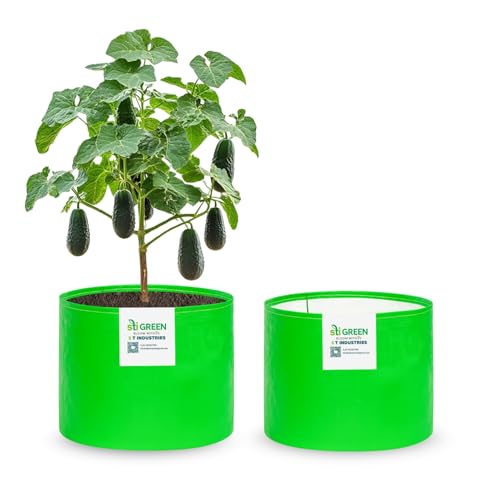 Image of HDPE Grow Bags for Plants 12X15 Inch (Pack of 2) | 260 GSM Heavy Duty UV-Protected Round Green Colour Plant Bags for Terrace and Vegetable Gardening | Strong & Reusable|